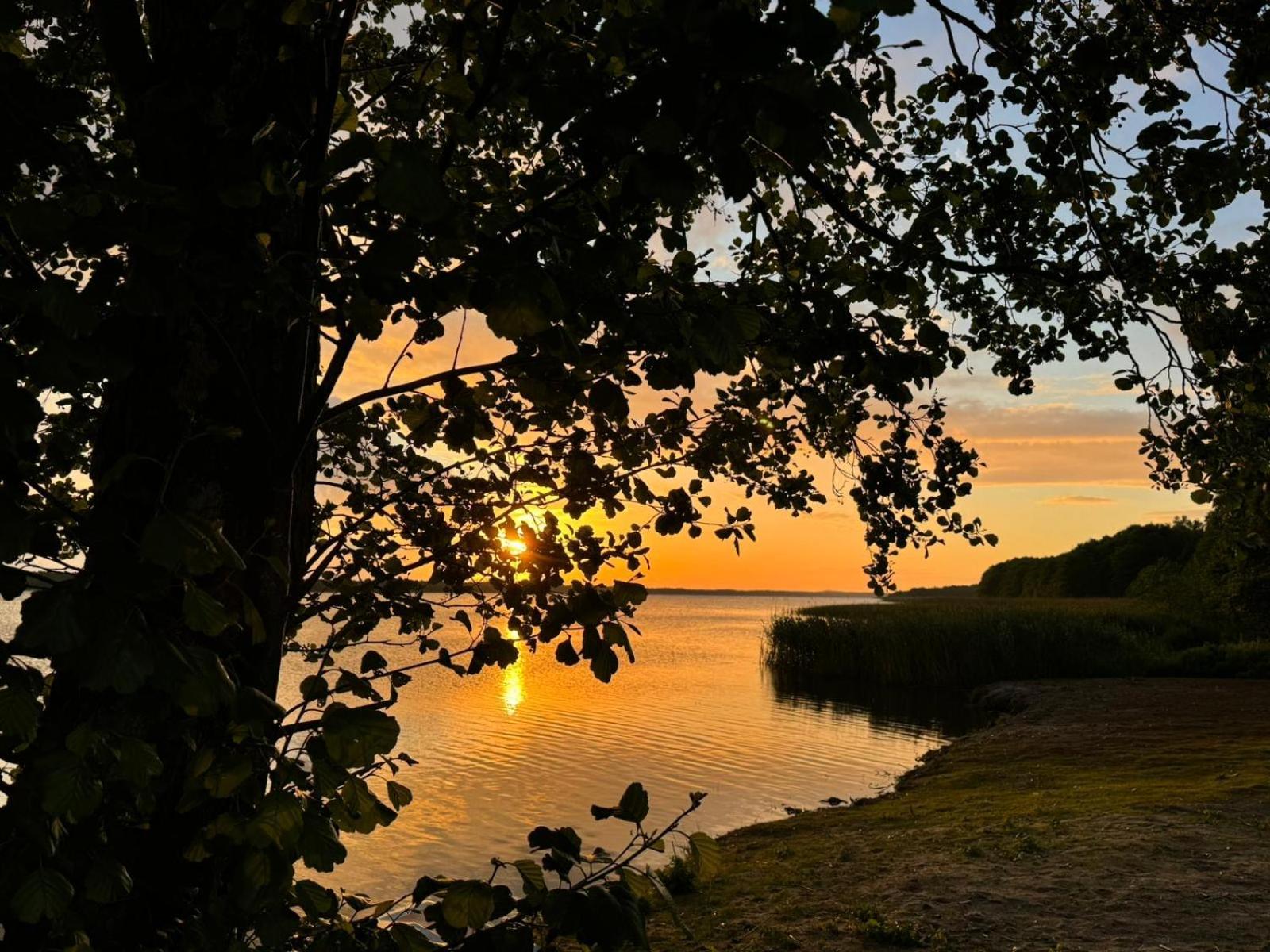 Domek Leba Nowecin Exteriér fotografie