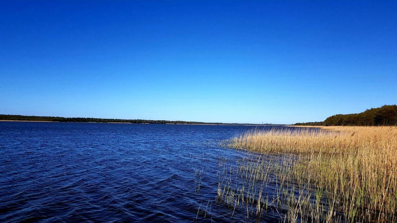 Domek Leba Nowecin Exteriér fotografie